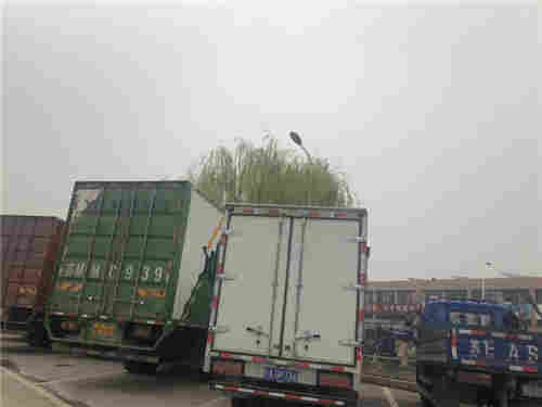 蘇州市順佳物流 專業(yè)連接蘇州與浙江的大件運輸服務專家